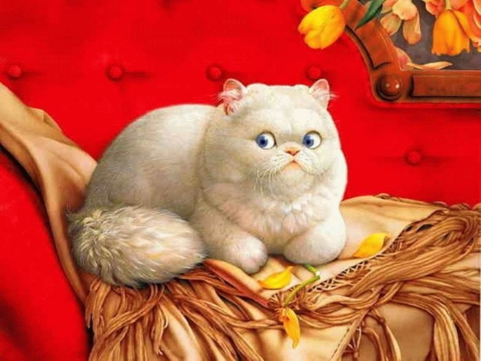 Очаровательные кошки Makoto Muramatsu 13 (700x525, 287Kb)