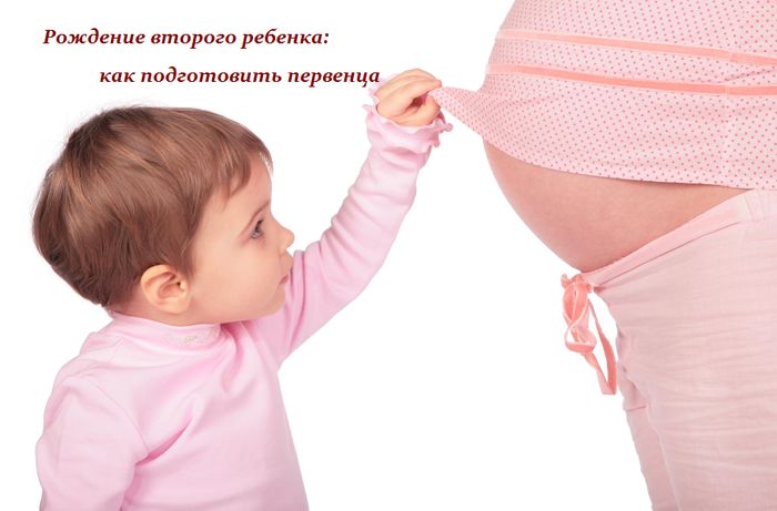 2749438_kak_podgotovit_pervenca (700x461, 294Kb)