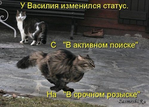 5680197_1009Statusizmenilsya (500x358, 49Kb)