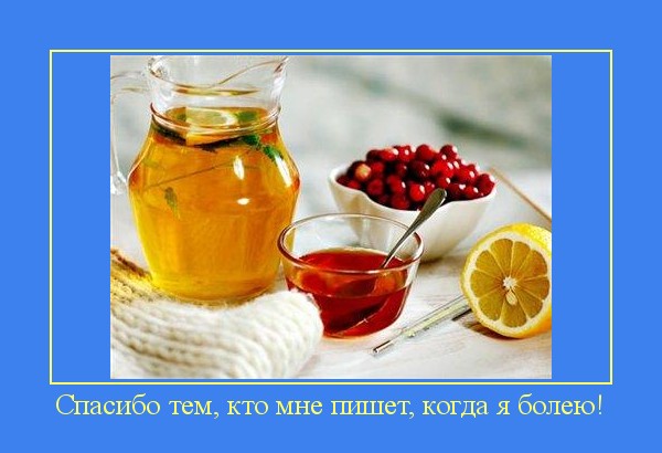 1868538_1330590595 (600x410, 53Kb)