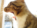 Picture 151 (700x525, 358Kb)