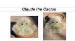  plant cactus Claude+_1 (385x209, 13Kb)