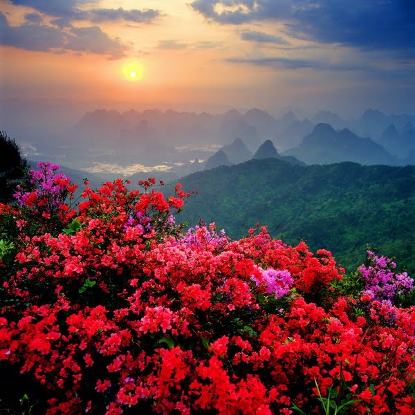 china_09 (600x600, 99Kb)