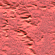  go74 (80x80, 5Kb)