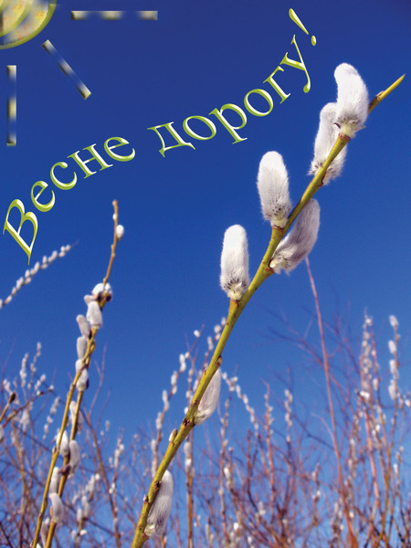 4800487_i4917 (450x600, 93Kb)