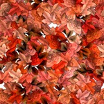  TileU0020 (300x300, 42Kb)