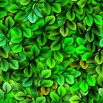  TileU0050 (300x300, 40Kb)