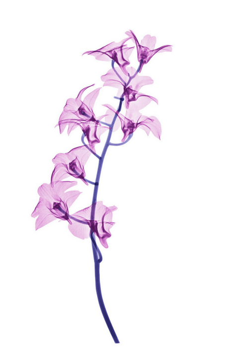 10 (465x700, 107Kb)