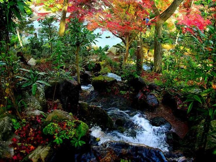 Японский сад фото 11 (700x525, 147Kb)