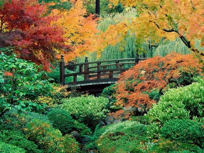 Японский сад фото 18 (700x525, 164Kb)
