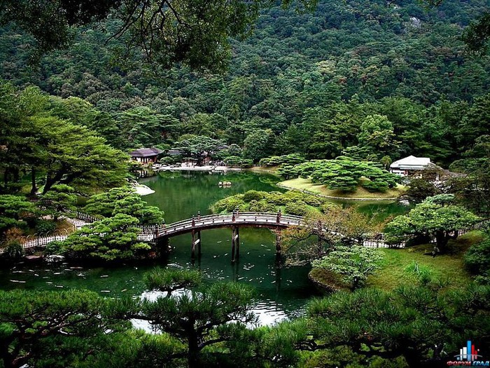 Японский сад фото 29 (700x525, 196Kb)