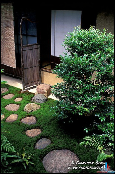 Японский сад фото 34 (462x700, 425Kb)
