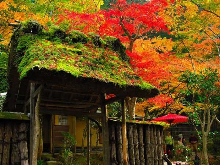 Японский сад фото 49 (700x525, 145Kb)