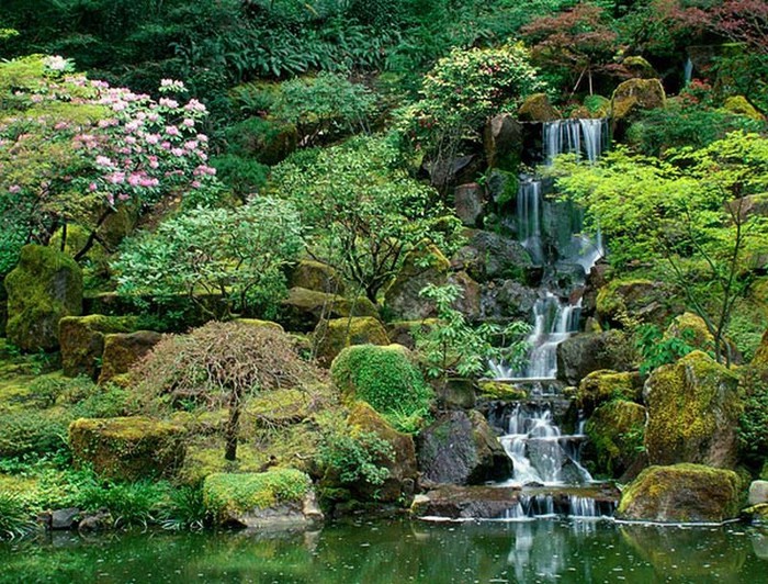Японский сад фото 59 (700x532, 180Kb)
