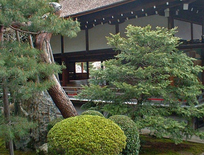 Японский сад фото 79 (700x532, 147Kb)