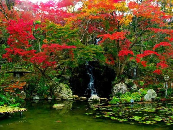 Японский сад фото 85 (700x525, 142Kb)