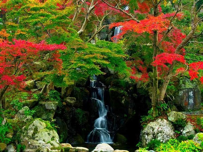 Японский сад фото 92 (700x525, 148Kb)