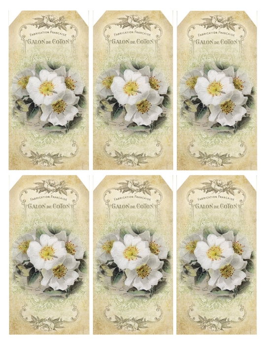 grungy texture white roses tags (540x700, 303Kb)