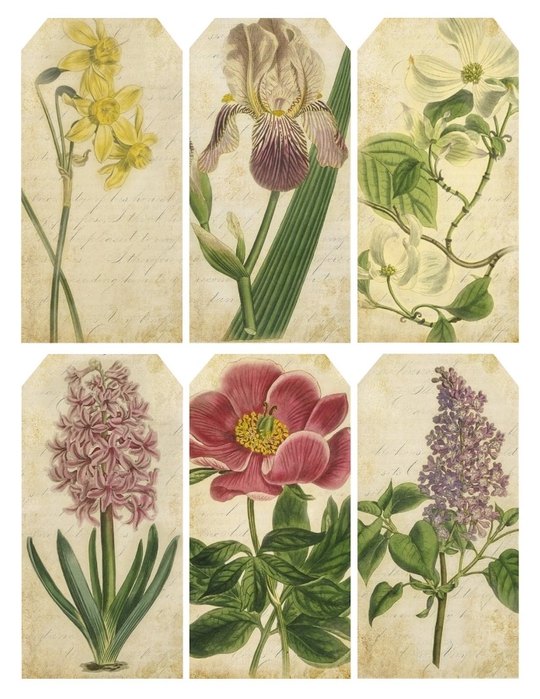 Spring botanical gift tags lilac-n-lavender (540x700, 290Kb)
