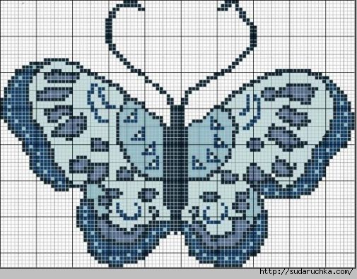 бабочки синие (505x395, 143Kb)