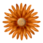  Blume-01 (500x500, 210Kb)