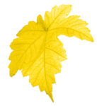  Element3 (288x315, 77Kb)