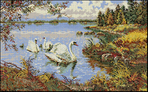 Добавил(а): Таше.  Семья лебедей на пруду.