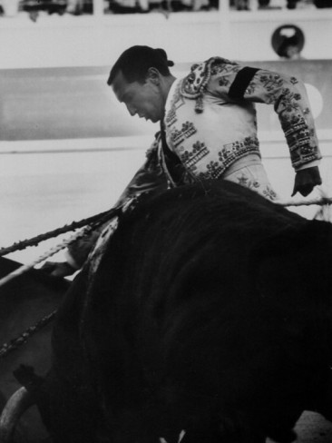 dominguin-during-bullfight (380x500, 28Kb)
