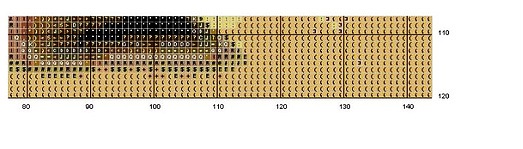 9 (523x149, 34Kb)