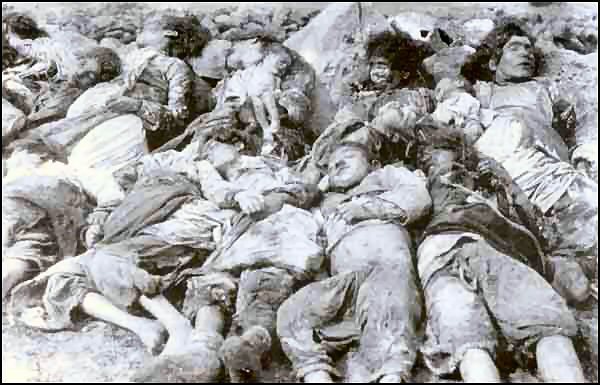 Признание факта Геноцида армян в 1915-1923 гг. в Турции имеет принципиальное (600x385, 50Kb)