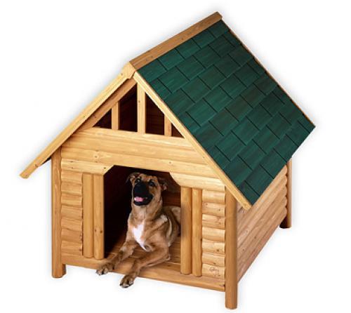 Как построить домик для собаки фото