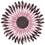  FM-Experience-Element-7 (400x400, 256Kb)