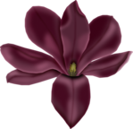  FM-Famous-Element-22 (462x446, 172Kb)
