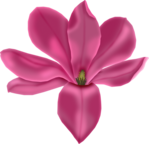  FM-Famous-Element-24 (462x446, 175Kb)