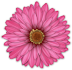  FM-Famous-Element-35 (494x483, 309Kb)