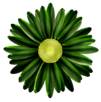  FM-Fanfare-Element-11 (385x389, 165Kb)