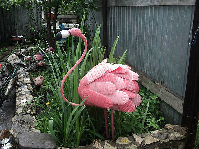 flamingo (640x480, 97Kb)