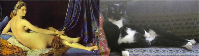 1334171474_cats-imitating-art-05 (700x400, 30Kb)