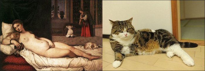 1334171515_cats-imitating-art-11 (700x400, 40Kb)