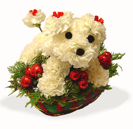 86376771_81141411_ChristmasFlowerPuppylg.jpg