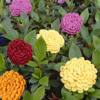 bouquet_crisantemo_coats (350x350, 24Kb)