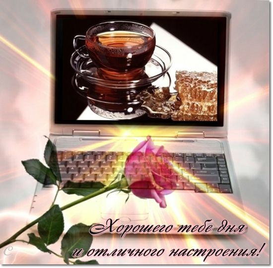 http://img1.liveinternet.ru/images/attach/c/5/86/803/86803647_6b05c43acfb8cb1bcfc6215d17623d7e.jpg
