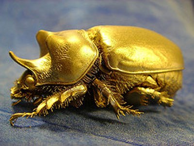 gold-bug (400x300, 36Kb)