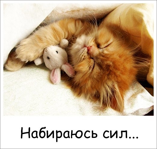 http://img1.liveinternet.ru/images/attach/c/5/87/142/87142823_4278666_IVYkheXvcS0.jpg