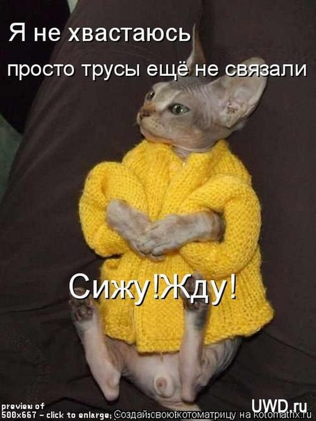 http://img1.liveinternet.ru/images/attach/c/5/87/298/87298229_3986017_CALgADTteiA.jpg