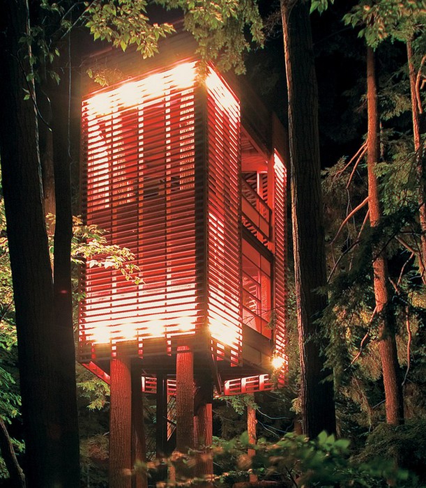 Дом на дереве в лесу неподалеку озера Мускоке 1 (611x700, 166Kb)