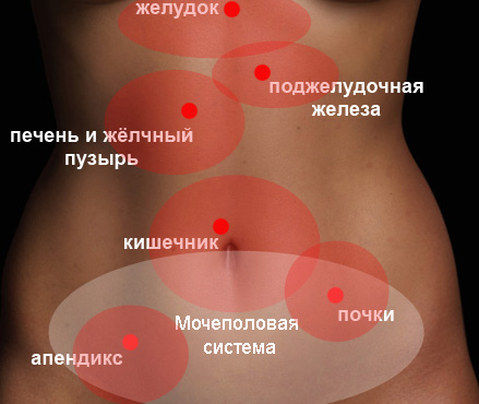 4238095_86468413_jivot (439x370, 64Kb)