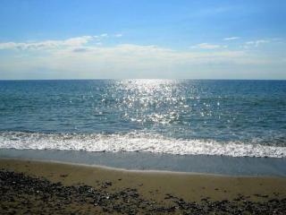 337_357_preview (320x240, 13Kb)