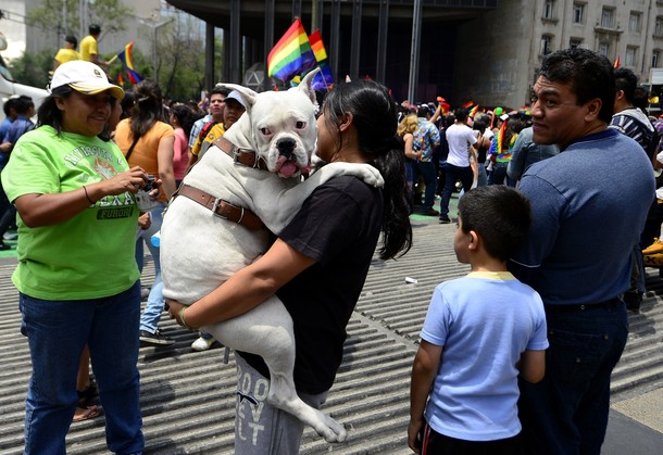 Гей-парад в Мехико, 02 июня 2012 года