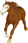      (1) (467x700, 221Kb)